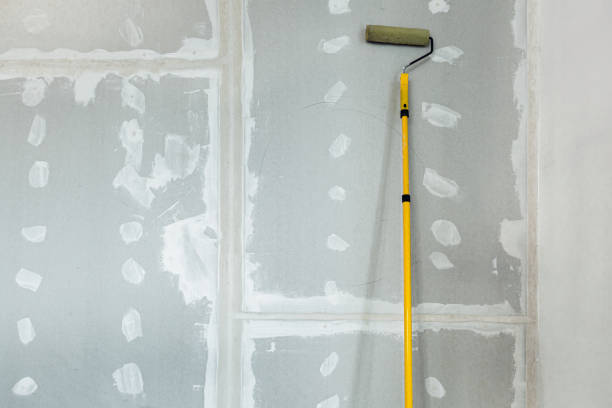 Best Mold Removal for HVAC Installations  in Lake Forest, IL