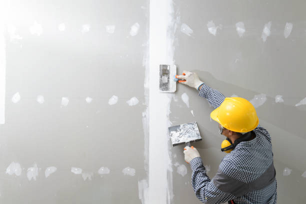 Best Real Estate Mold Inspection  in Lake Forest, IL