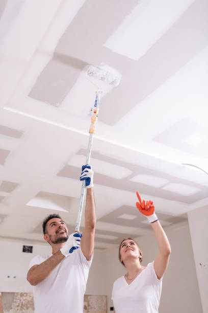 Best Air Quality Testing for Mold Spores  in Lake Forest, IL