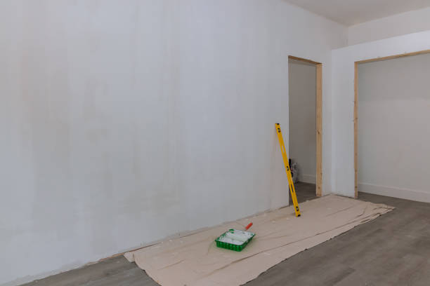 Best Basement Mold Removal  in Lake Forest, IL