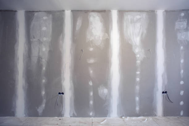 Best Airborne Mold Testing  in Lake Forest, IL